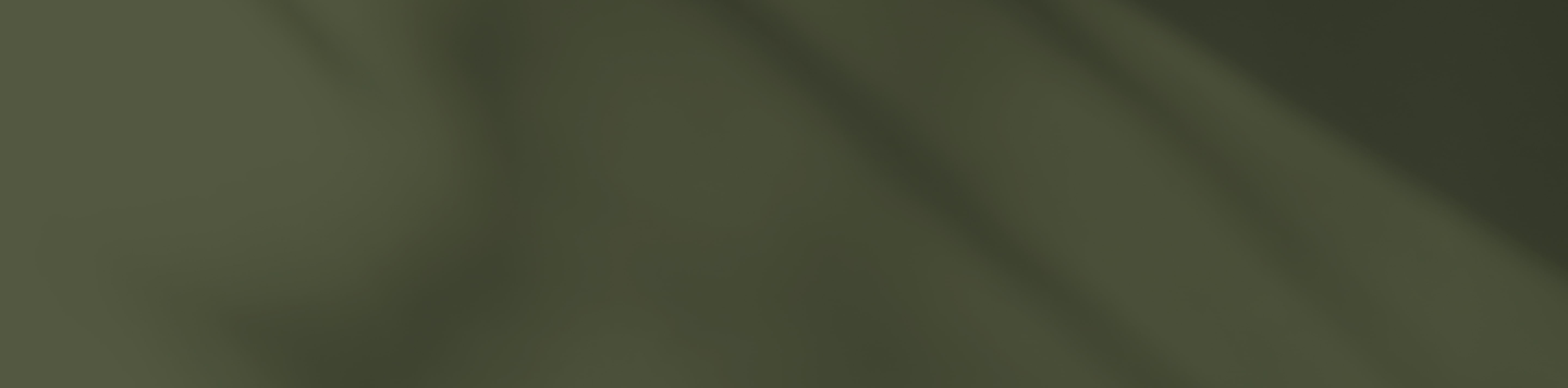 footer-bg